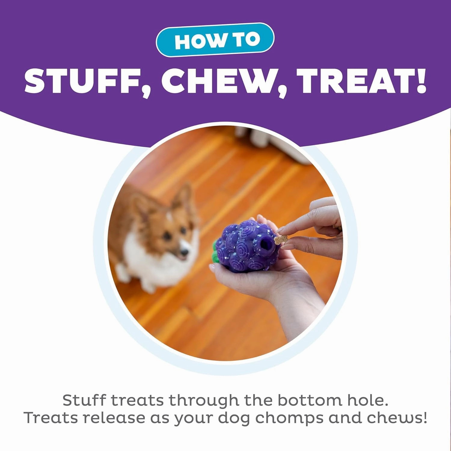 Outward Hound Grape Dental Chew Toy
