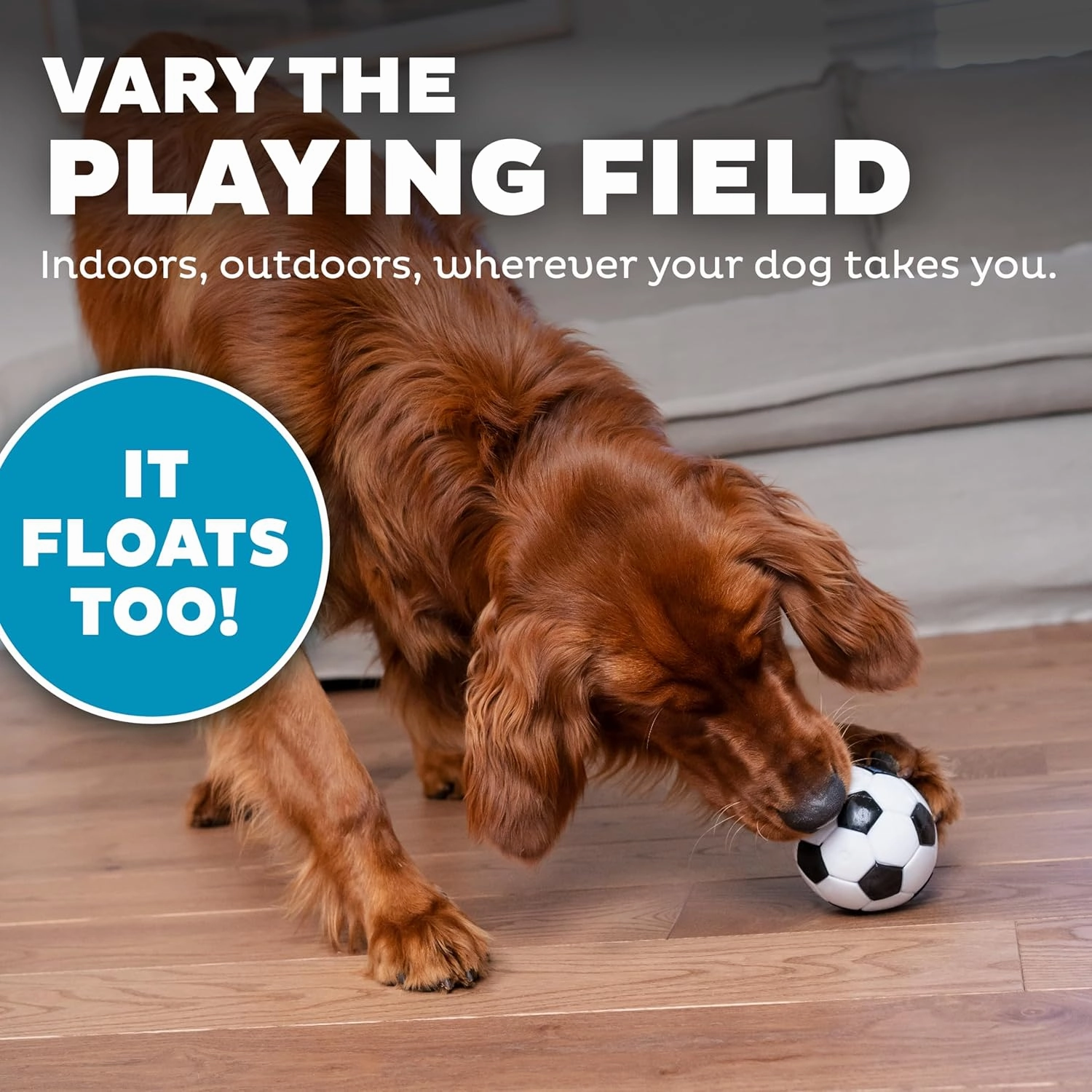 Outward Hound Orbee Soccer Ball