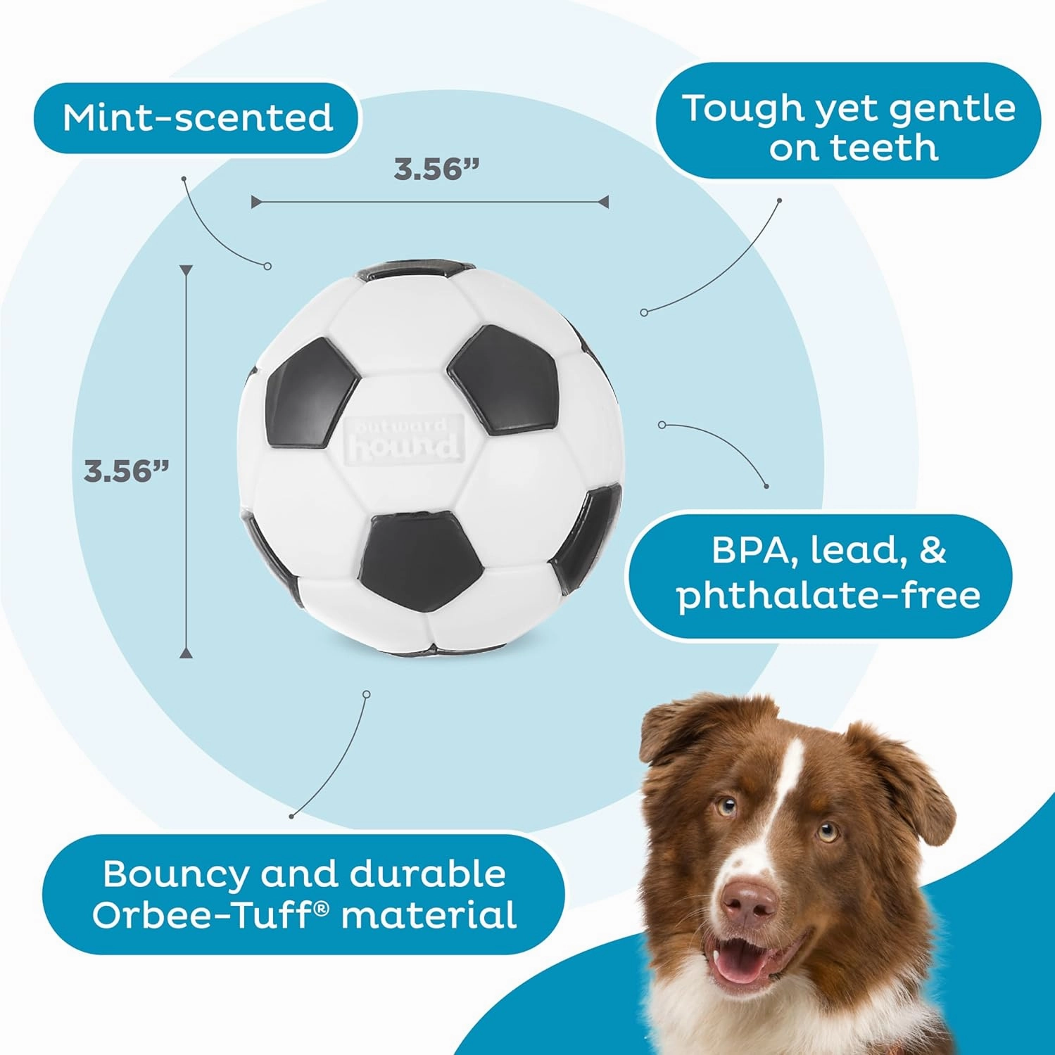 Outward Hound Orbee Soccer Ball