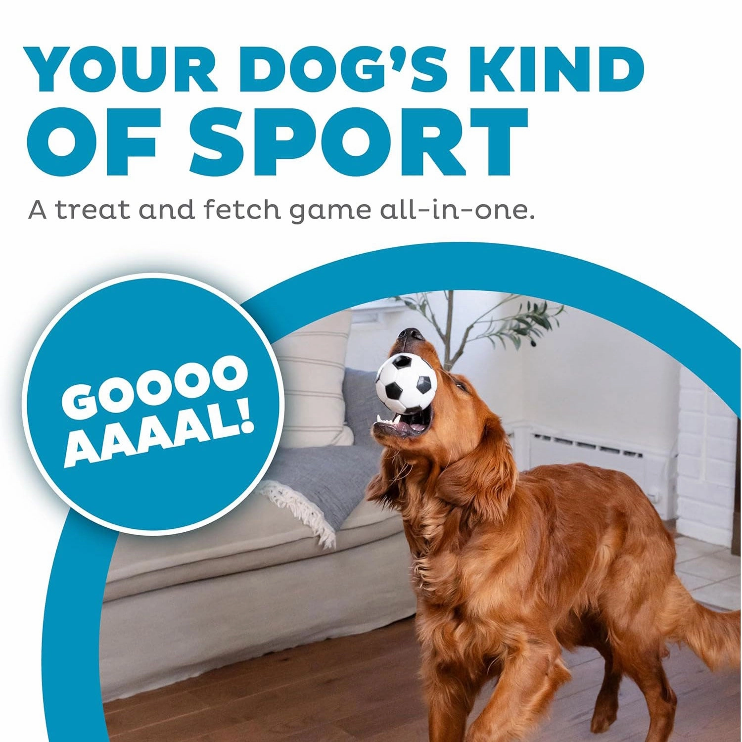 Outward Hound Orbee Soccer Ball