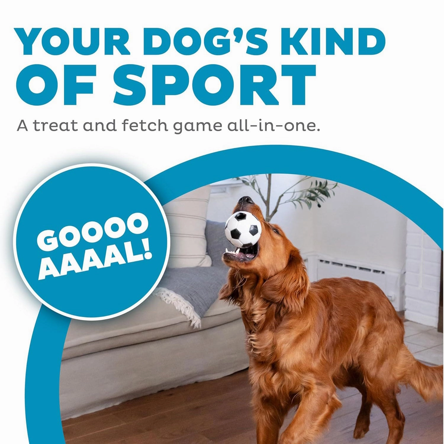 Outward Hound Orbee Soccer Ball