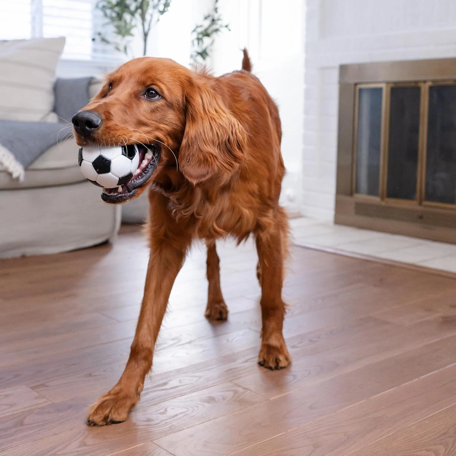 Outward Hound Orbee Soccer Ball