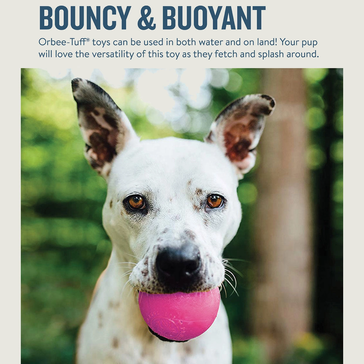Outward Hound Orbee Squeak