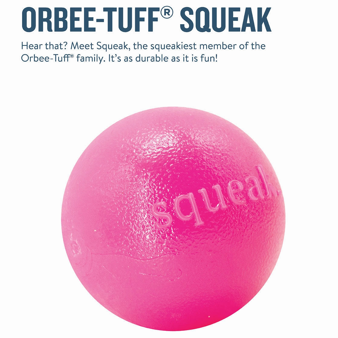 Outward Hound Orbee Squeak