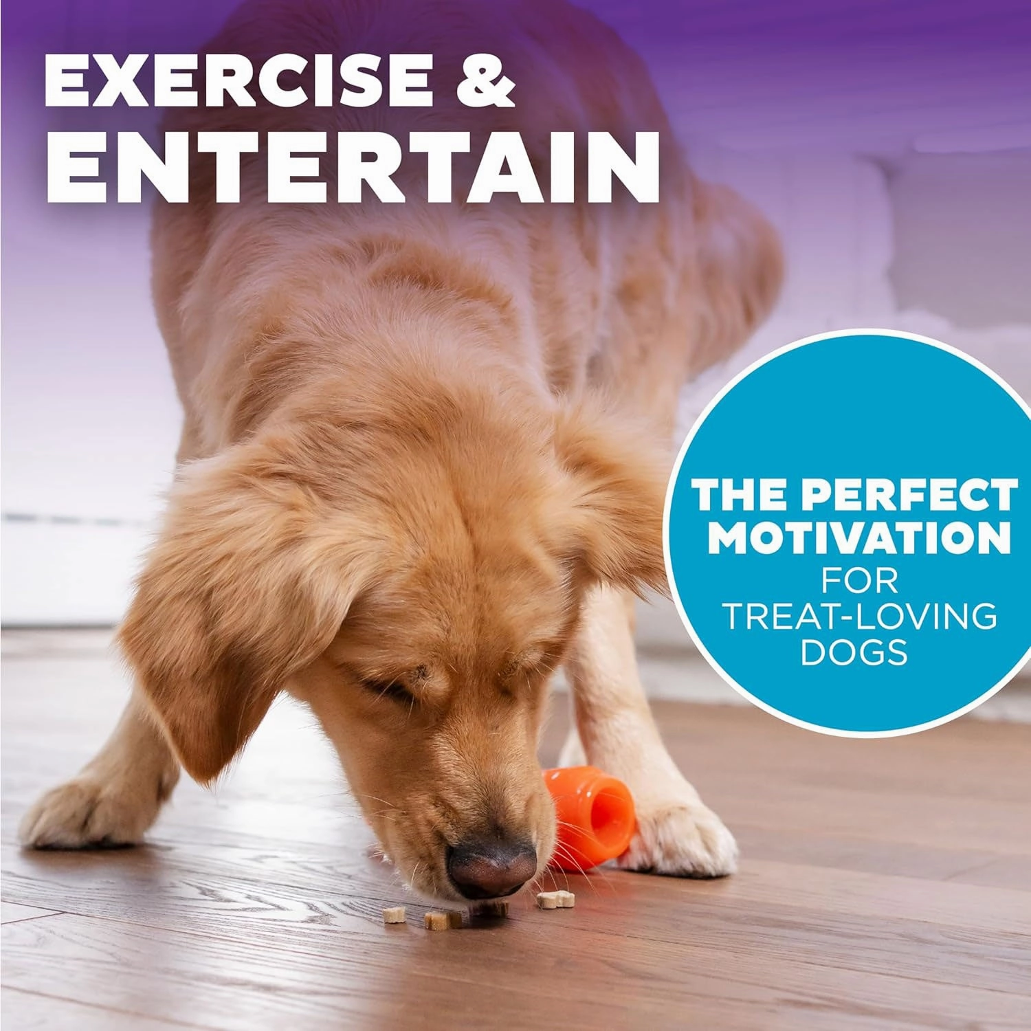 Outward Hound Orbee Tuff Carrot