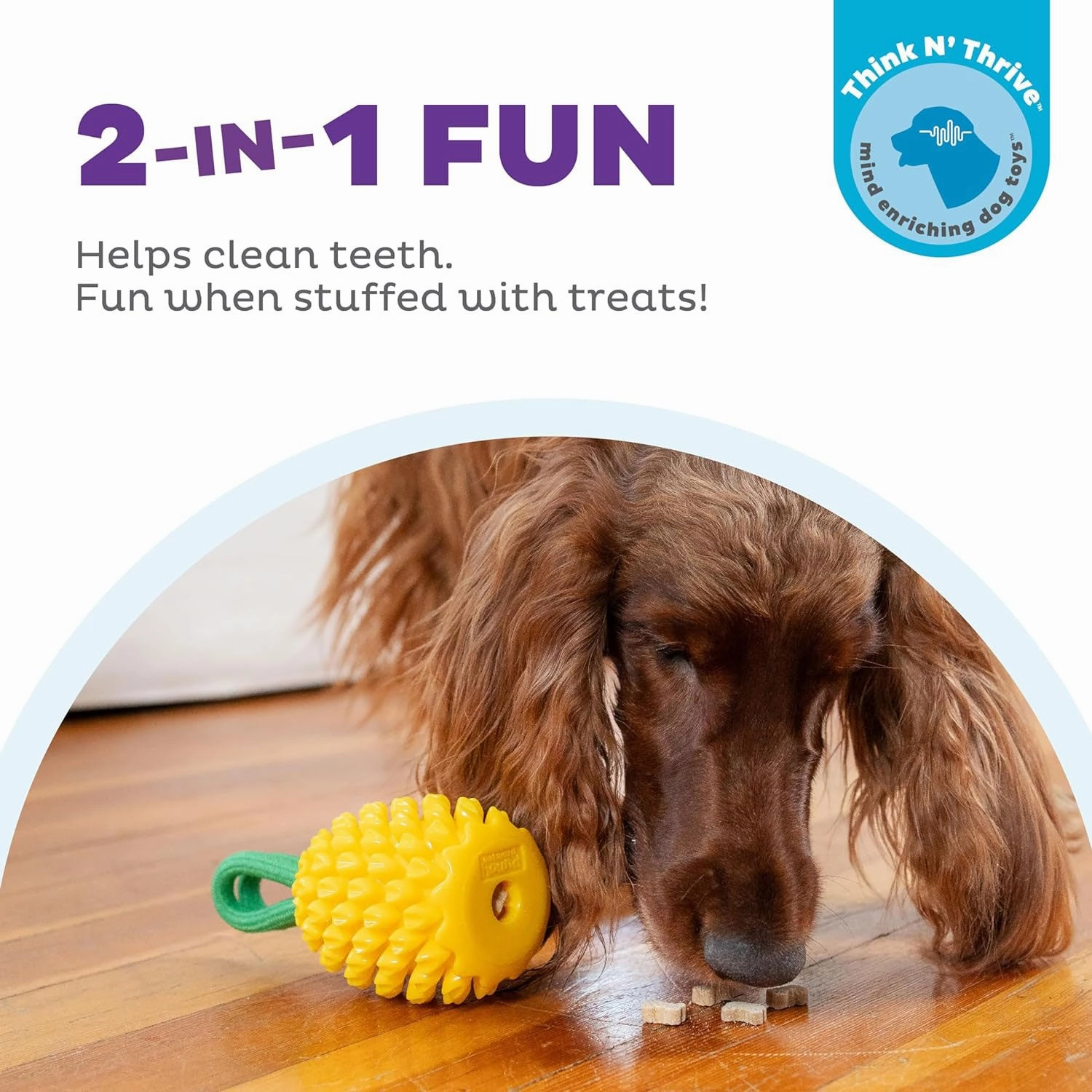 Outward Hound Pineapple Dental Chew Toy