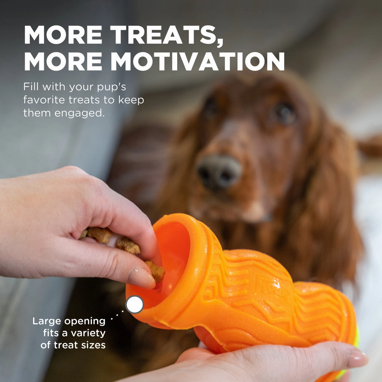 Outward Hound Tennis & Treat Toy