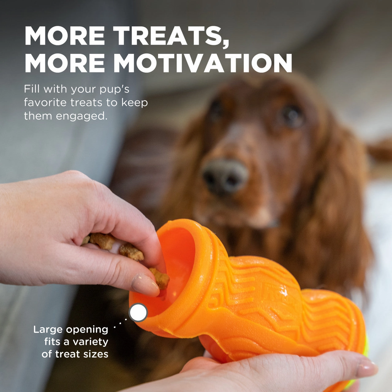 Outward Hound Tennis & Treat Toy
