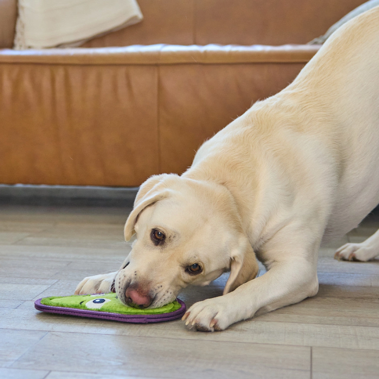 Outward Hound Tough Skinz Avocado