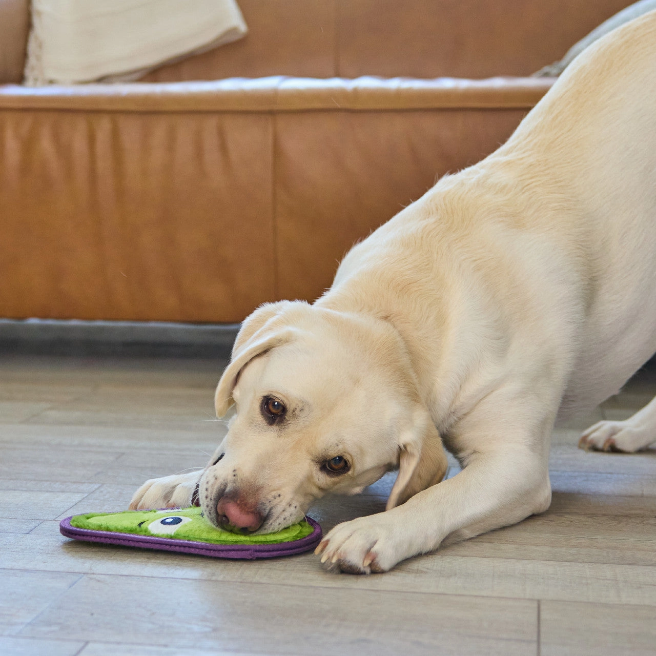 Outward Hound Tough Skinz Avocado