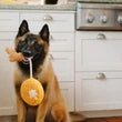 P.L.A.Y. Barking Brunch Plush Toy - Chicken and Woofles