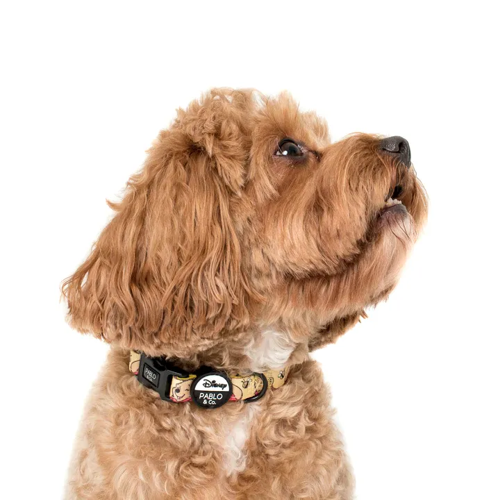 Pablo & Co Winnie the Pooh & Bee's: Dog Collar