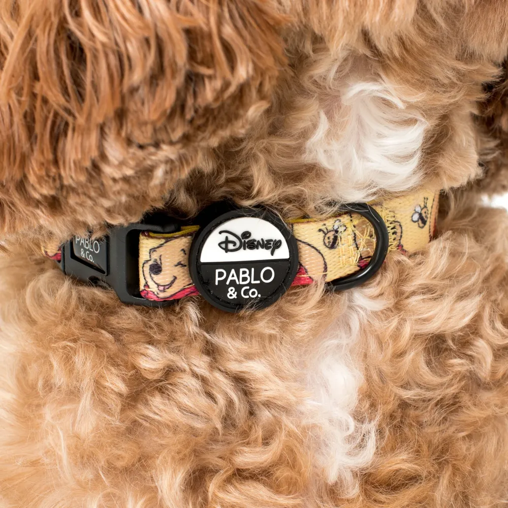 Pablo & Co Winnie the Pooh & Bee's: Dog Collar