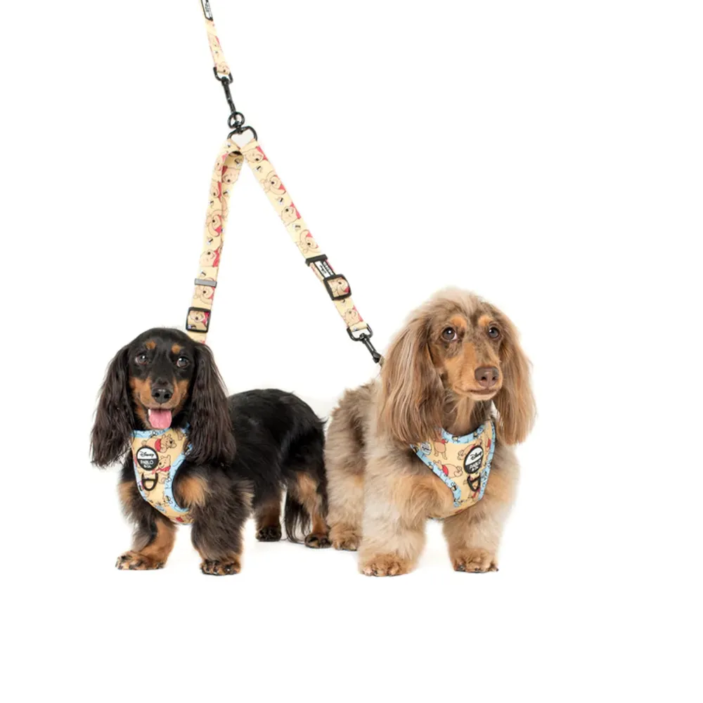 Pablo & Co Winnie the Pooh & Bee's: Leash Splitter