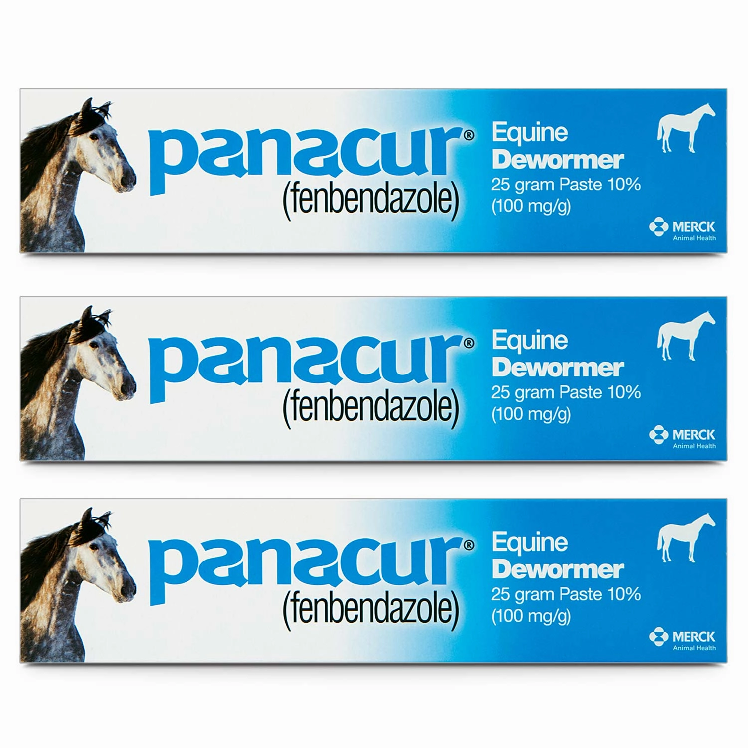 Panacur Equine Fenbendazole Dewormer Paste, 25 g