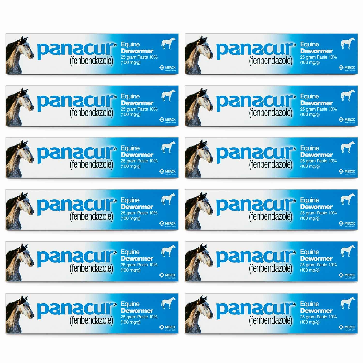 Panacur Equine Fenbendazole Dewormer Paste, 25 g
