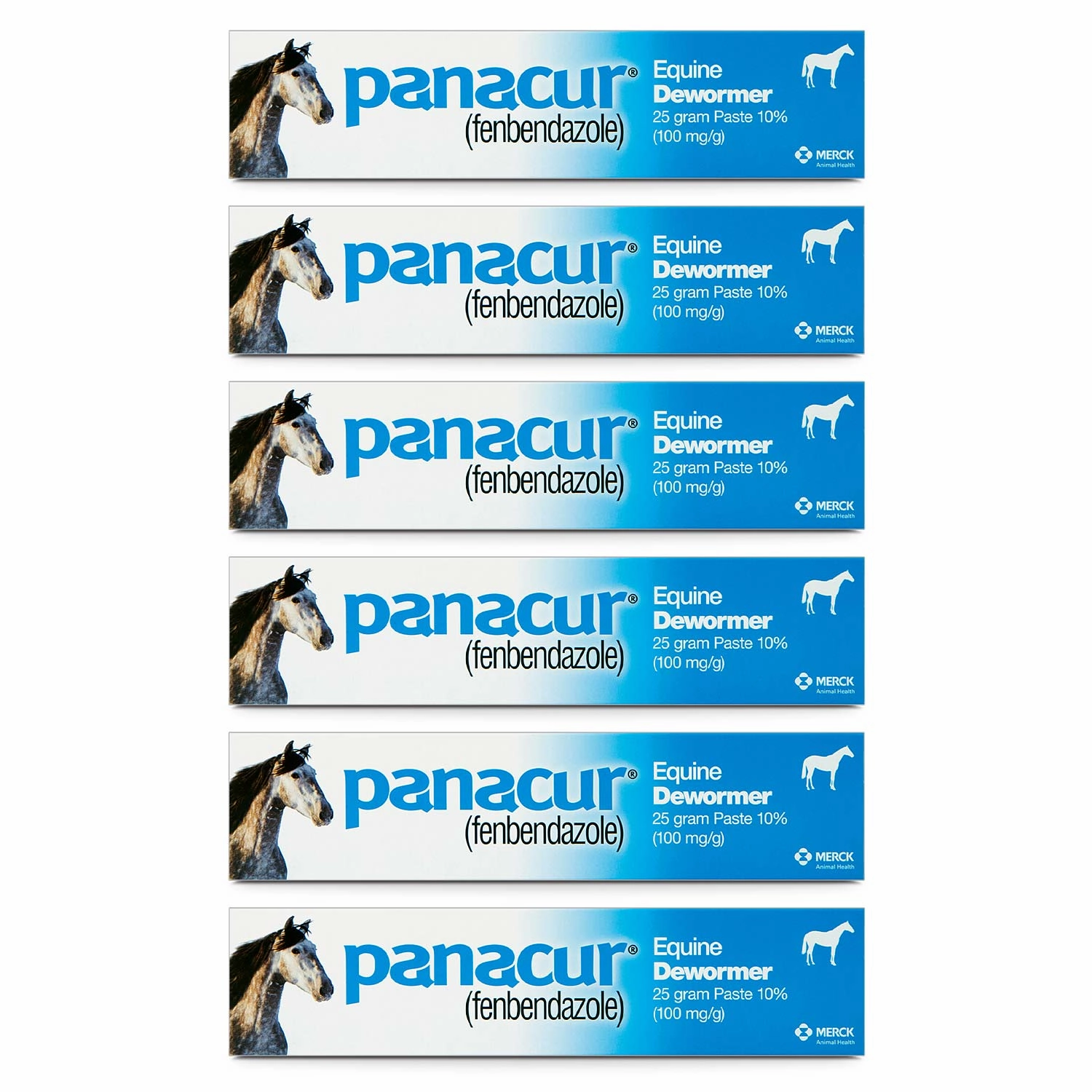 Panacur Equine Fenbendazole Dewormer Paste, 25 g
