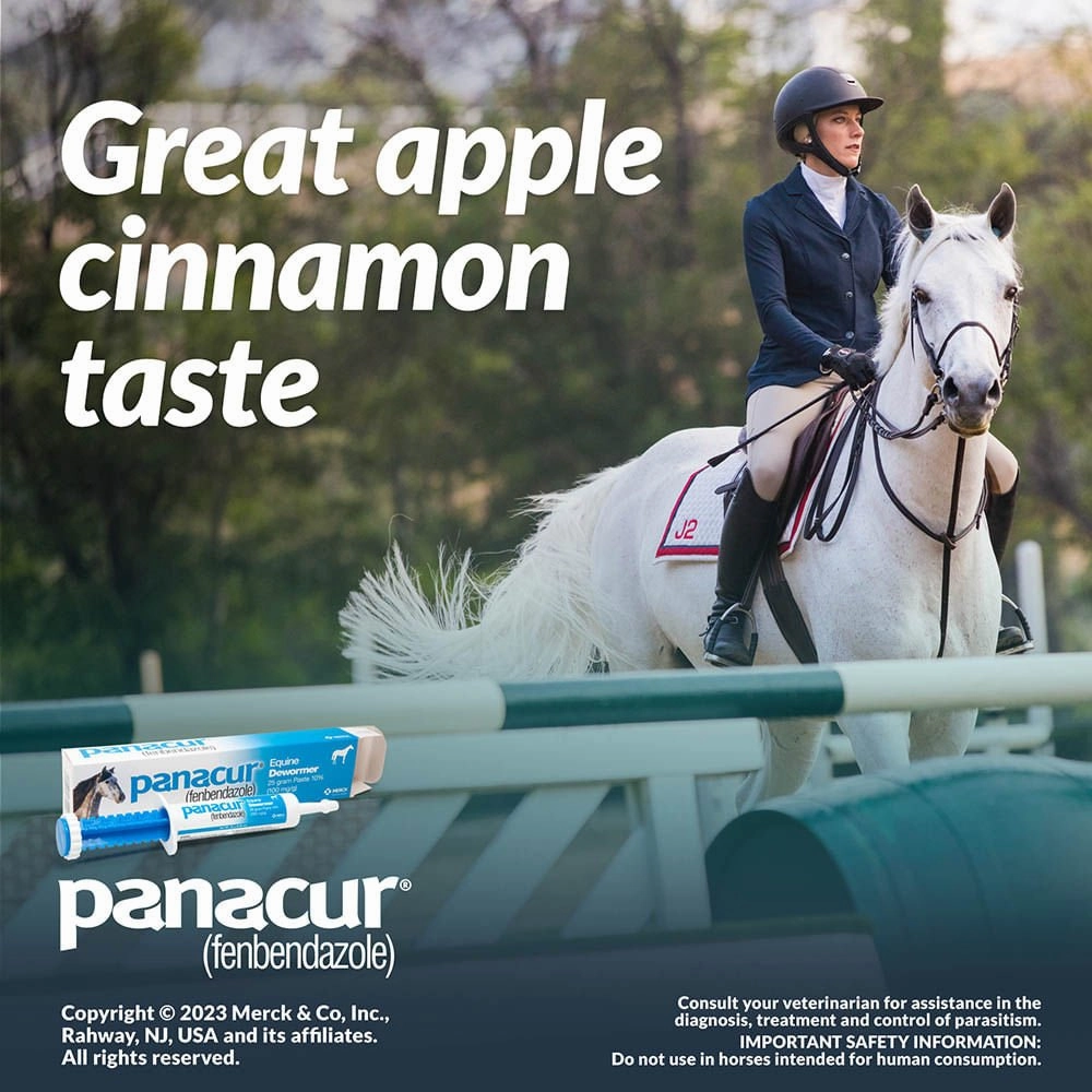 Panacur Equine Fenbendazole Dewormer Paste, 25 g
