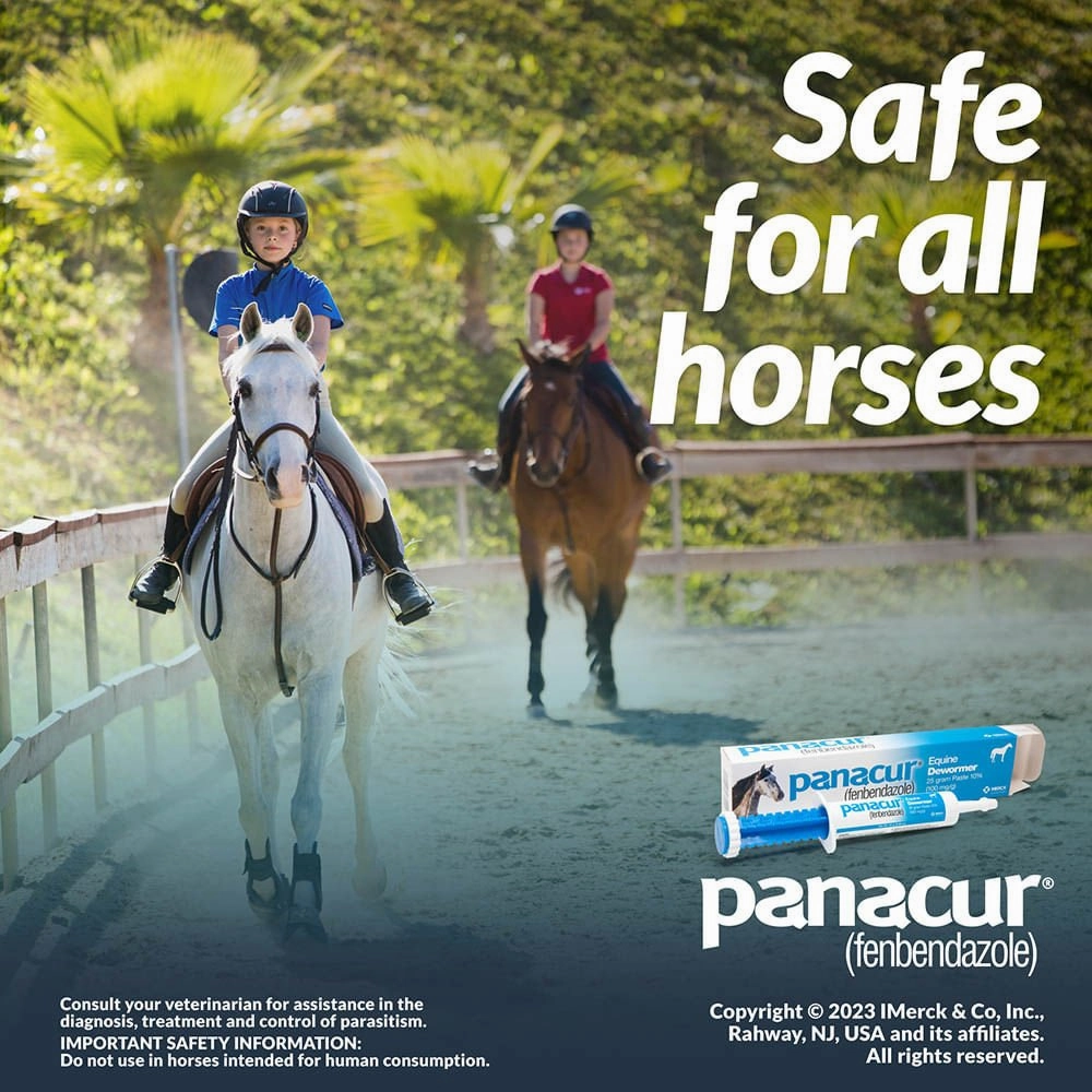 Panacur Equine Fenbendazole Dewormer Paste, 25 g
