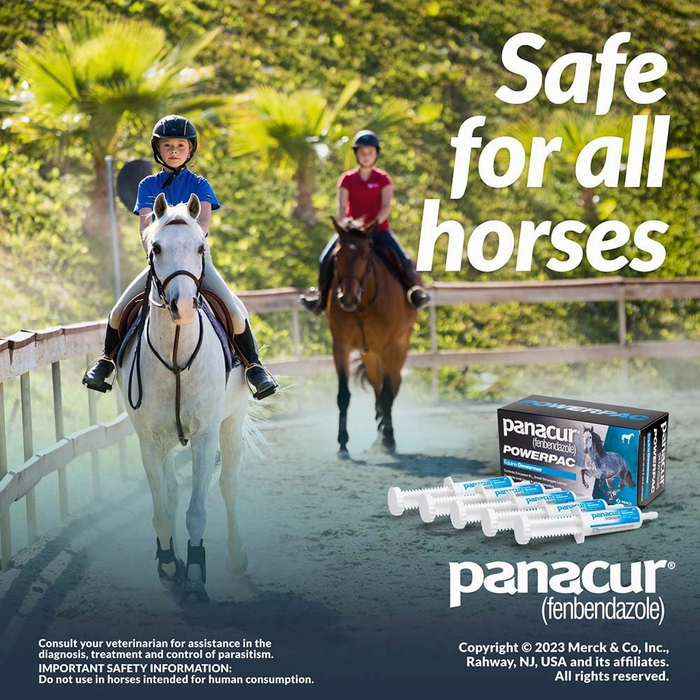 Panacur Powerpac Fenbendazole Horse Dewormer