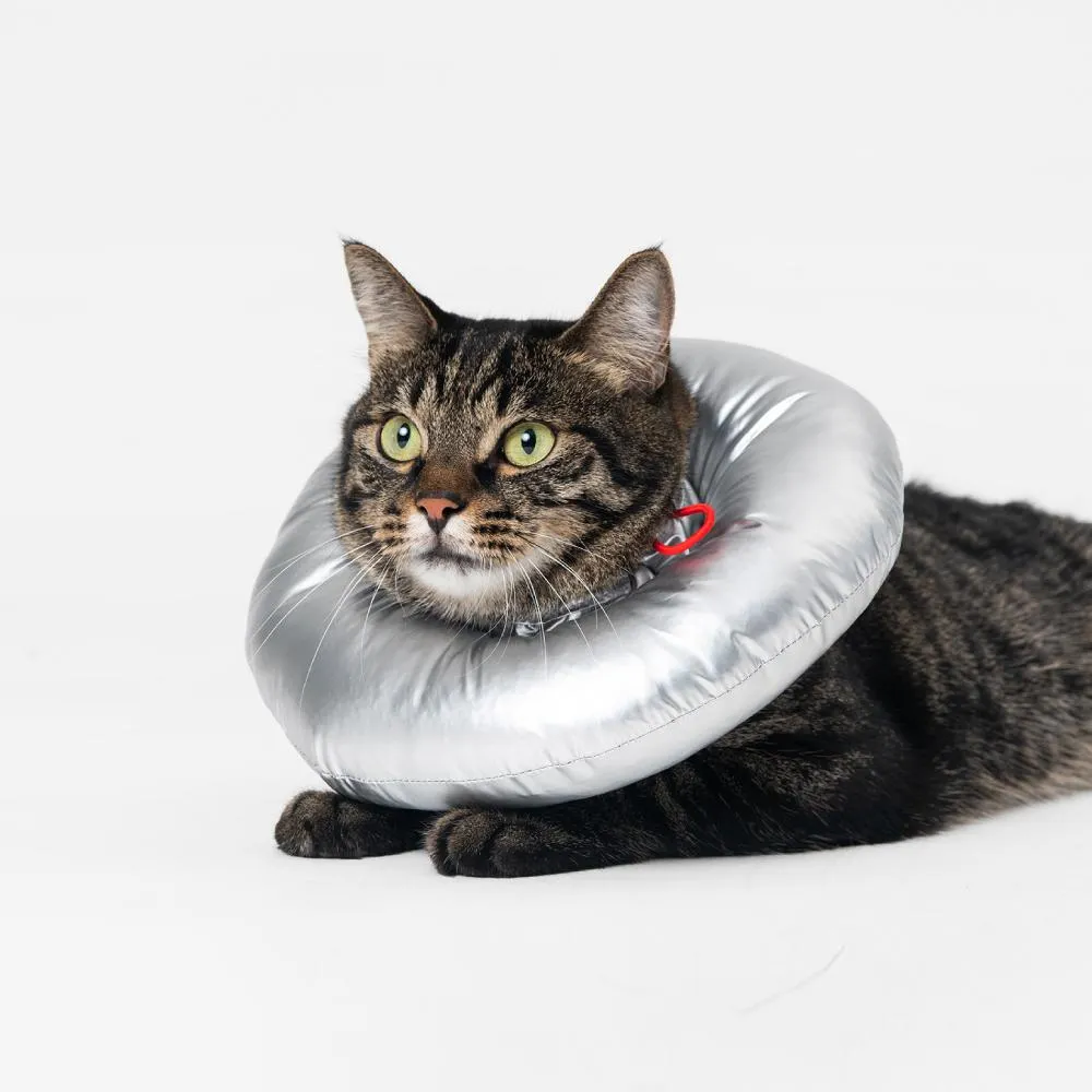 Pidan Space E-Collar For Cats & Dogs