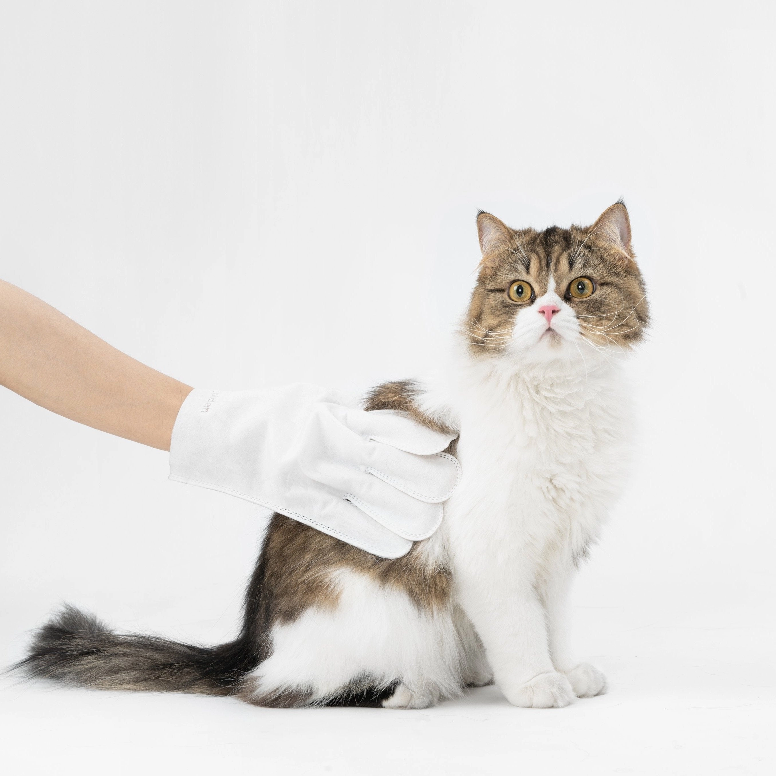 Pidan Body Cleaning Glove Wipes For Cats & Dogs 6pc
