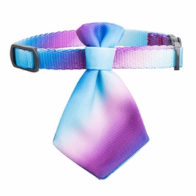 Pidan Necktie Cat Collar (Ombre) cat leash cat bowtie cat hat cat bandana cat costume
