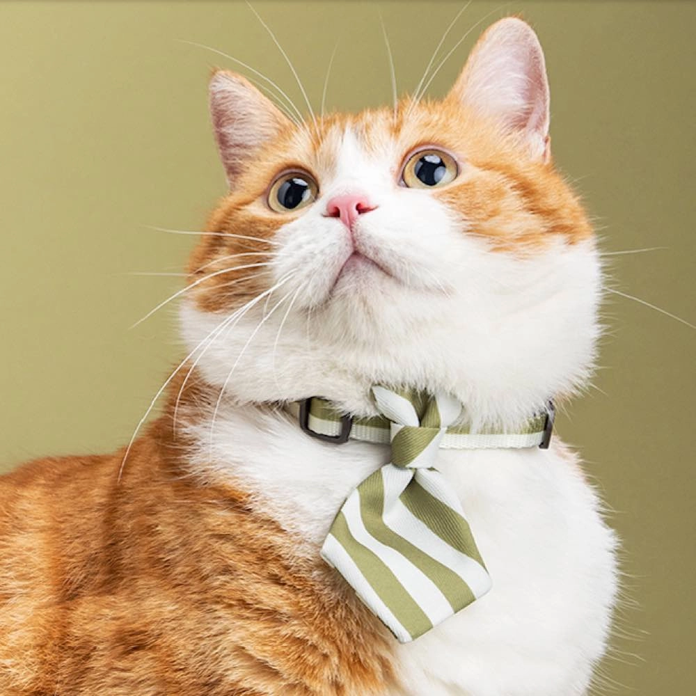 Pidan Necktie Cat Collar (Stripes)
