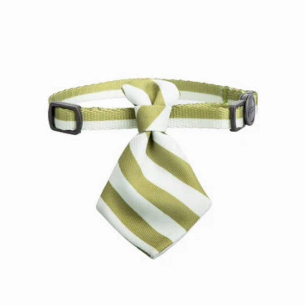 Pidan Necktie Cat Collar (Stripes) cat leash cat bowtie cat hat cat bandana cat costume