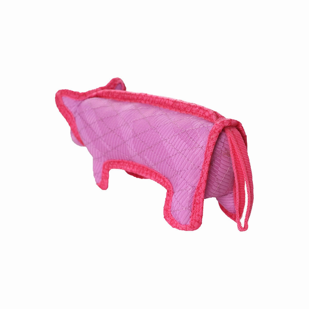 Pinky the DuraForce Pig