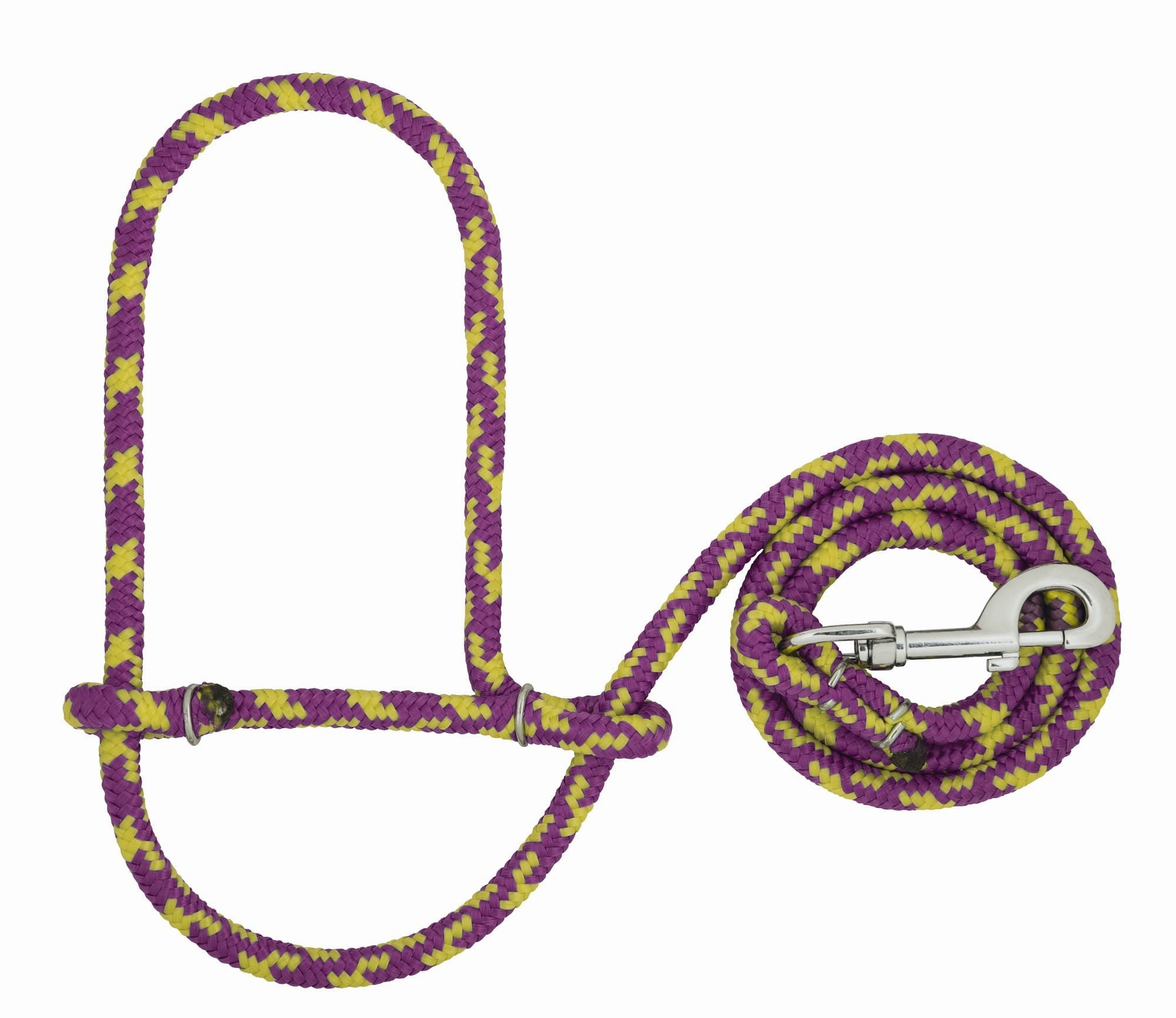 Poly Rope Sheep Halter/Lead with Snap, 52"