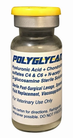 Polyglycan for Horses, 10 mL vial poultry remedies poultry supplement goat vitamins sheep probiotics animal health boost