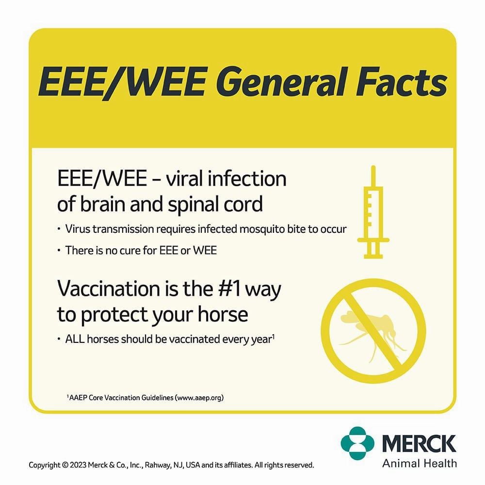 Prestige 4 Horse Vaccine