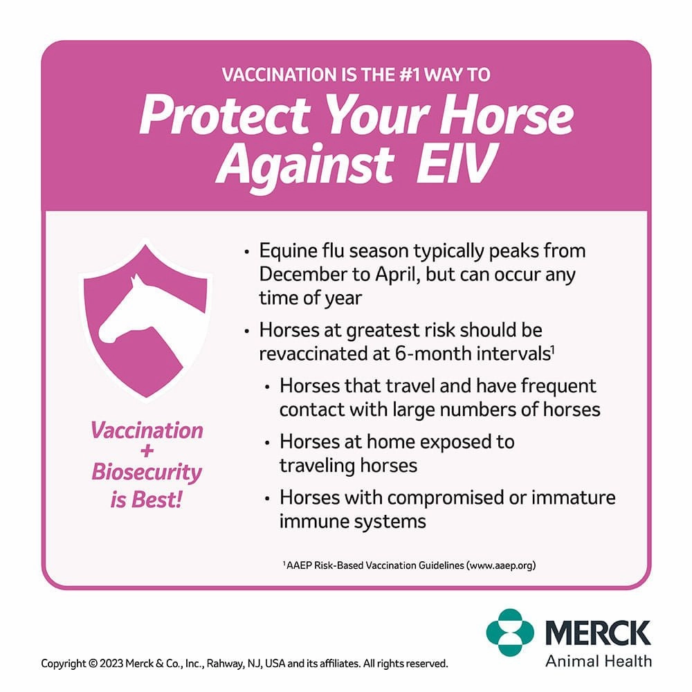 Prestige 4 Horse Vaccine