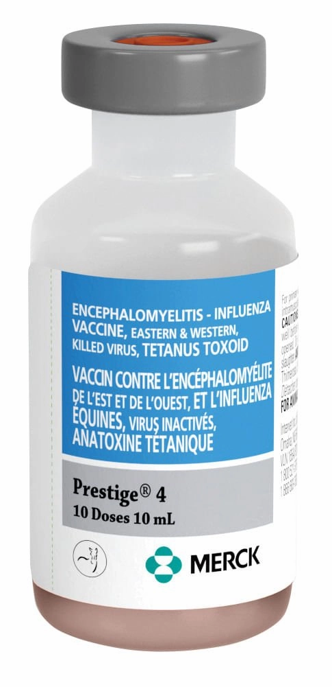 Prestige 4 Horse Vaccine