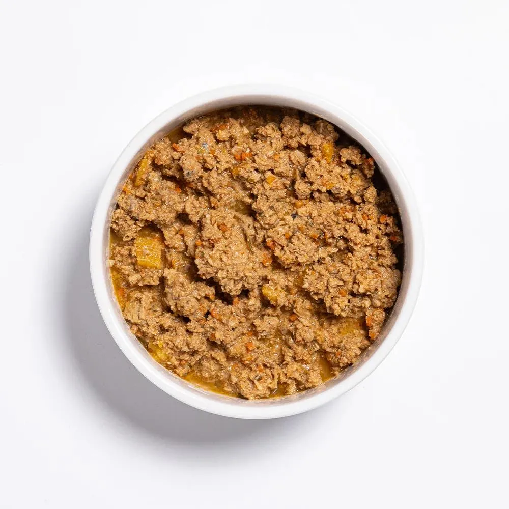 Prime100 SPD Slow Cooked Salmon & Pumpkin Wet Dog Food 354g