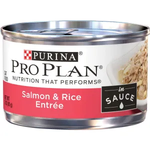 Pro Plan Salmon & Rice Wet Cat Food cat treats toys for cats cat hair remover cat cleaning supplies cat food bowl