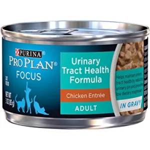 Pro Plan Urinary Tract Health with Chicken Wet Cat Food cat treats toys for cats cat hair remover cat cleaning supplies cat food bowl