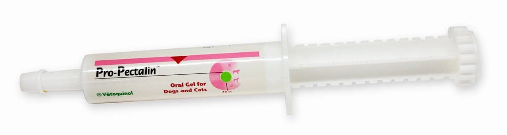 Pro-Pectalin Gel cat scratchers cat towers cat window perch cat heating pad cat calming spray