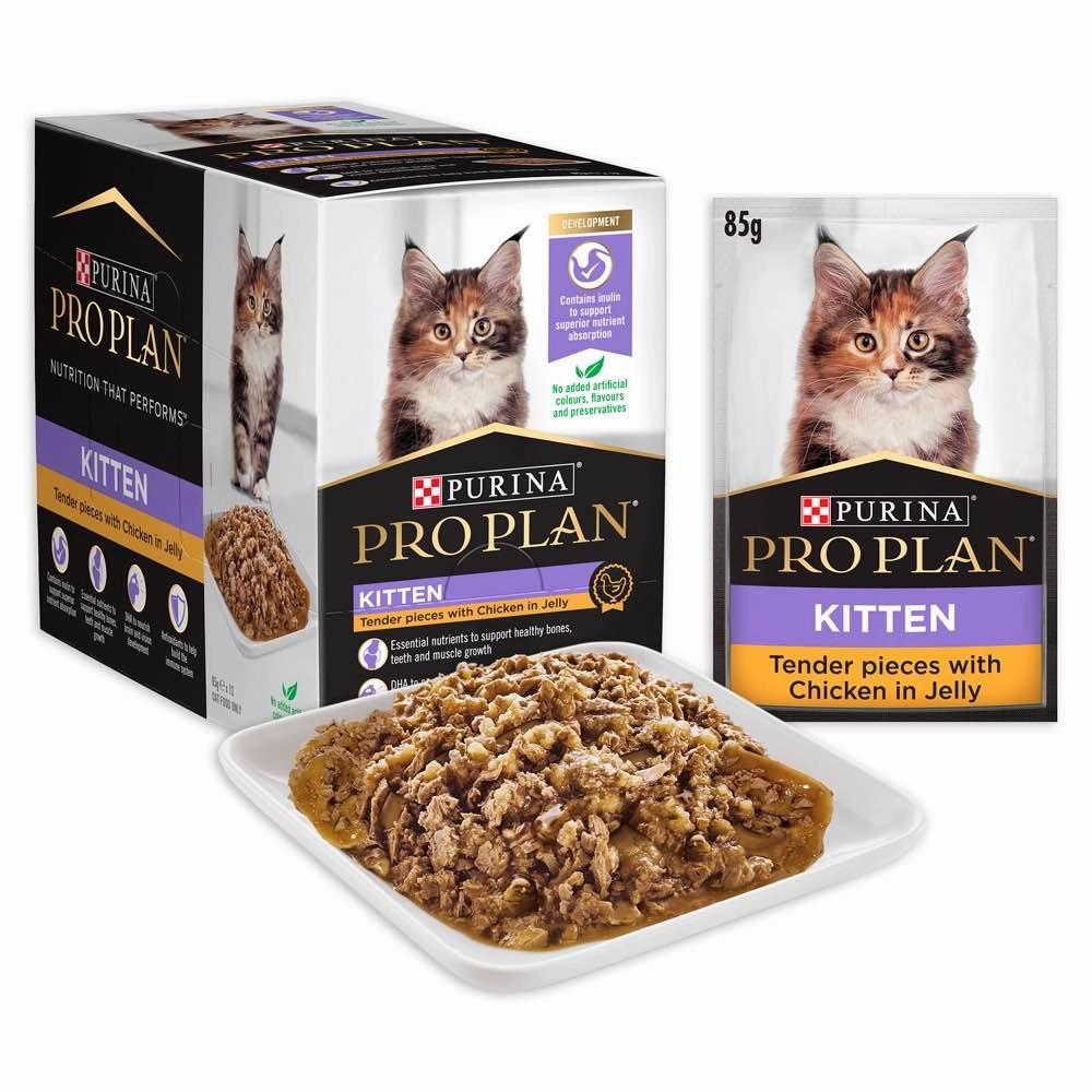 Pro Plan Tender Chicken In Jelly Kitten Pouch Cat Food 85g x 12 natural cat food soft cat treats freeze dried cat food organic cat treats indoor cat food