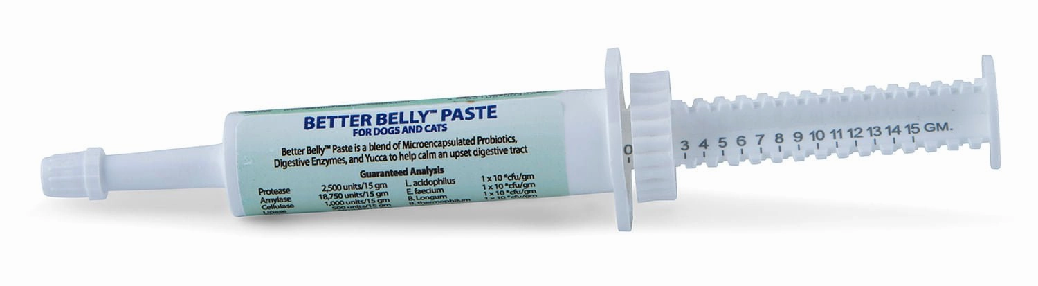 Prothrive Better Belly Paste, 15 gm plush dog toys fluffy dog toy dog cuddle toy dog toy set stuffed toy for dogs