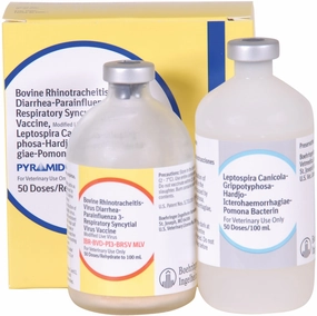 Pyramid 10 Cattle Vaccine sheep feed sheep mineral sheep hay sheep pellets sheep salt block