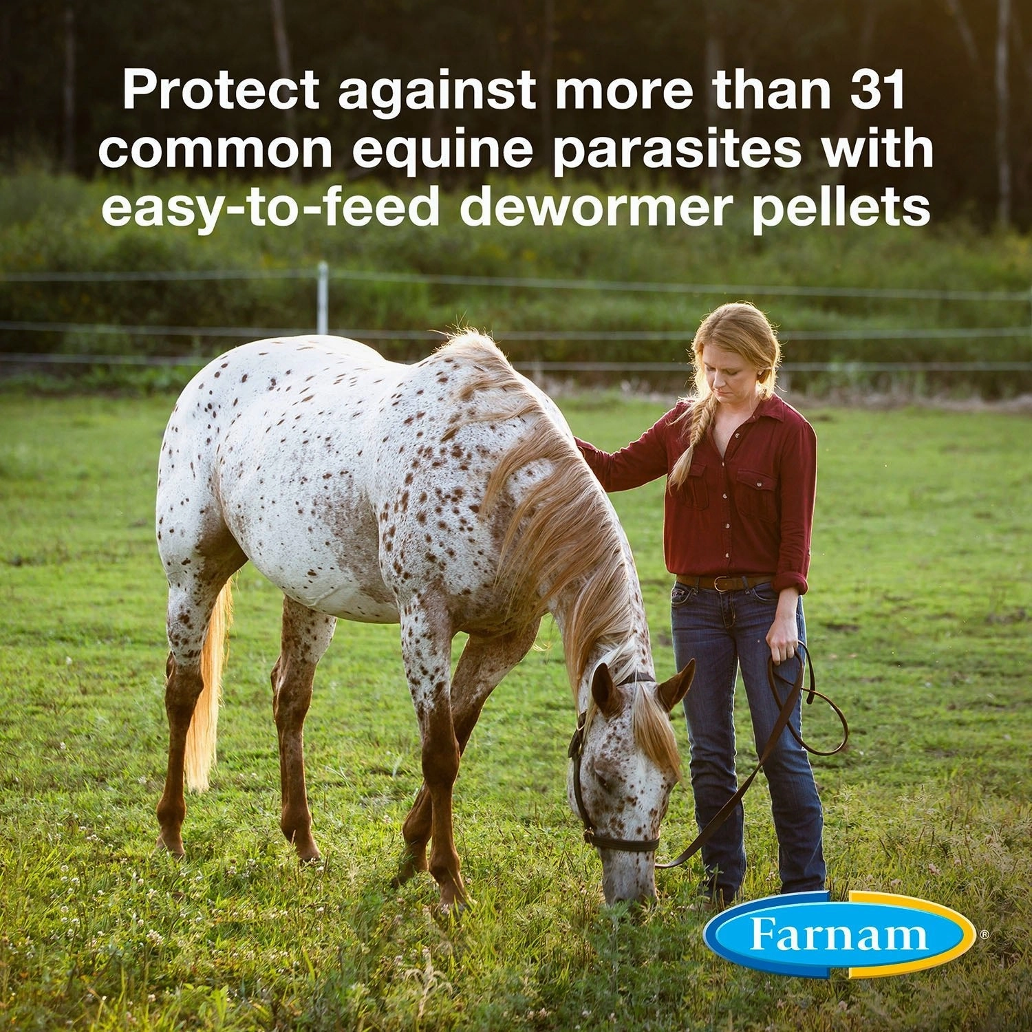 PyrantelCare Daily Dewormer 2.11%, 50 lb