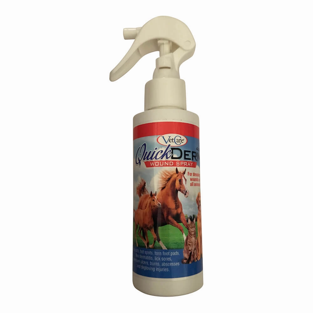 QuickDerm Wound Spray, 4 oz plush dog toys fluffy dog toy dog cuddle toy dog toy set stuffed toy for dogs