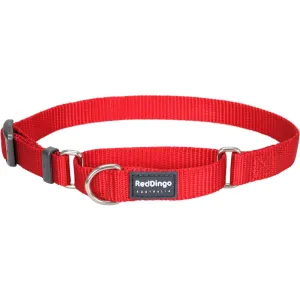 Red Dingo Classic Martingale Dog Collar 20mm grain free dog food natural dog biscuits high protein dog food dog food pack dog meat sticks