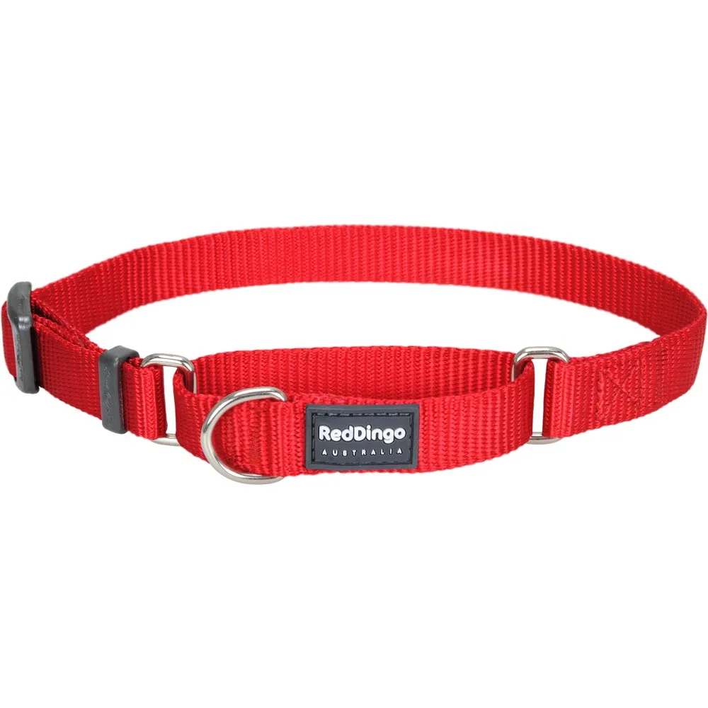 Red Dingo Classic Martingale Dog Collar 20mm grain free dog food natural dog biscuits high protein dog food dog food pack dog meat sticks