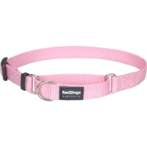 Red Dingo Classic Martingale Dog Collar 25mm grain free dog food natural dog biscuits high protein dog food dog food pack dog meat sticks
