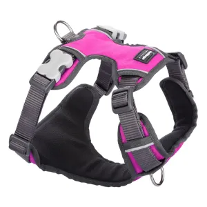 Red Dingo Padded Dog Harness (Extra-Small) grain free dog food natural dog biscuits high protein dog food dog food pack dog meat sticks