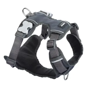 Red Dingo Padded Dog Harness (Small) grain free dog food natural dog biscuits high protein dog food dog food pack dog meat sticks