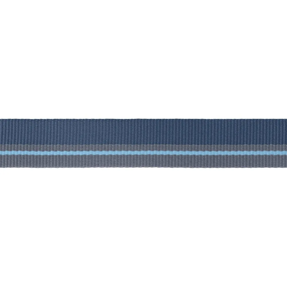 Ruffwear Flat Out Patterned Multi-Function Dog Leash (Blue Horizon)